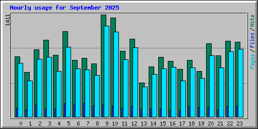 Hourly usage for September 2025