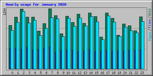 Hourly usage for January 2026